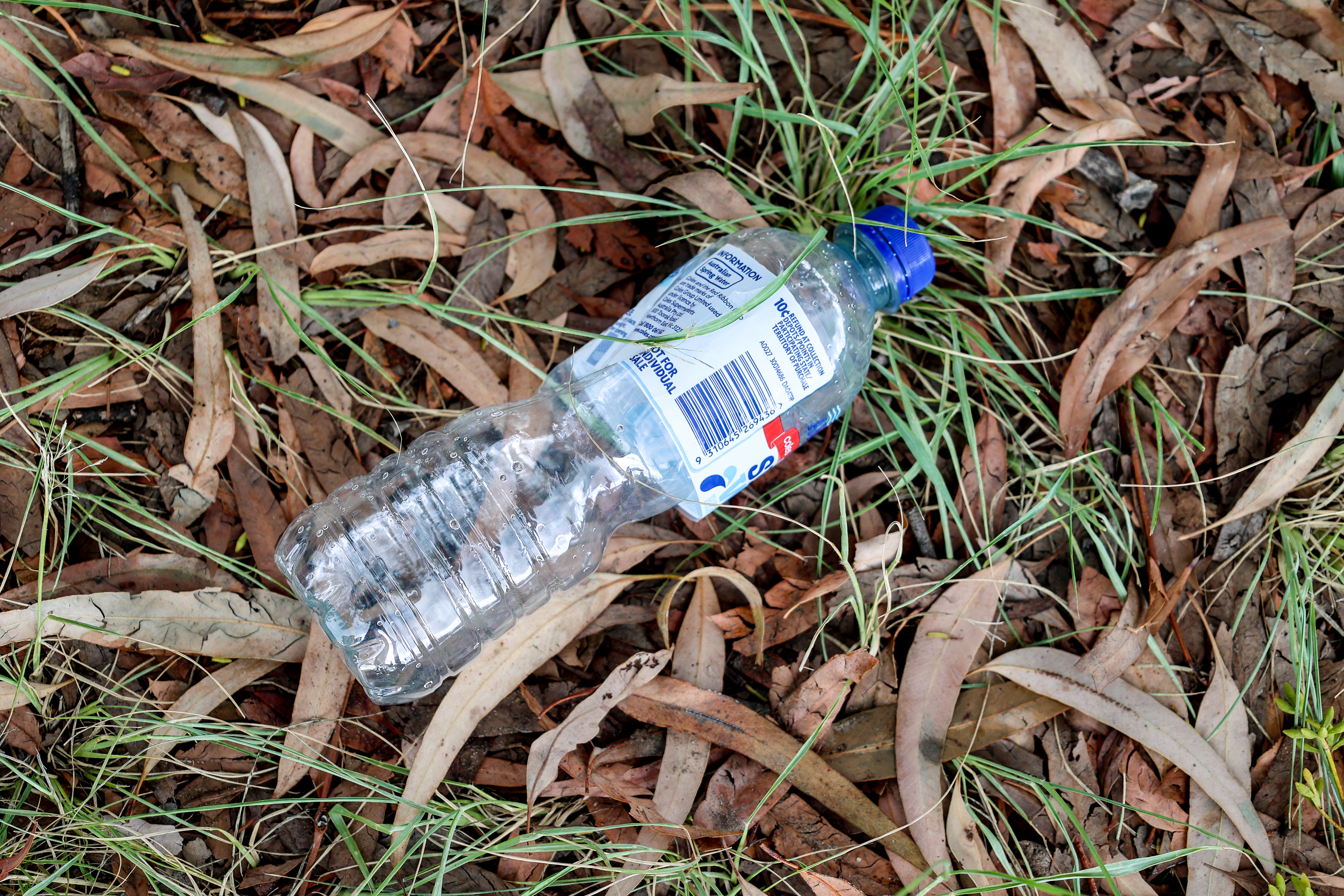 Plastic bottle in grass and leaves