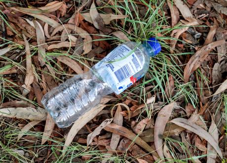 Plastic bottle in grass and leaves