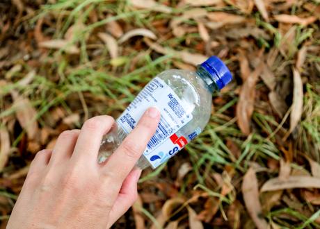 Plastic bottle in grass and leaves