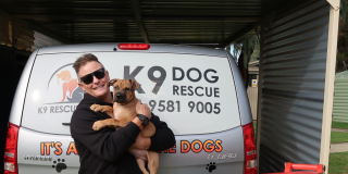 $10,000 a year, straight to the kennels