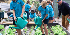 A frog habitat, funded by empties